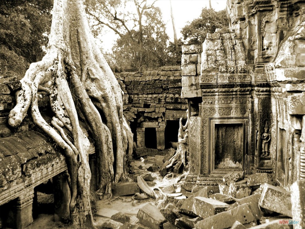 Angkor - ruins of TA PROHM