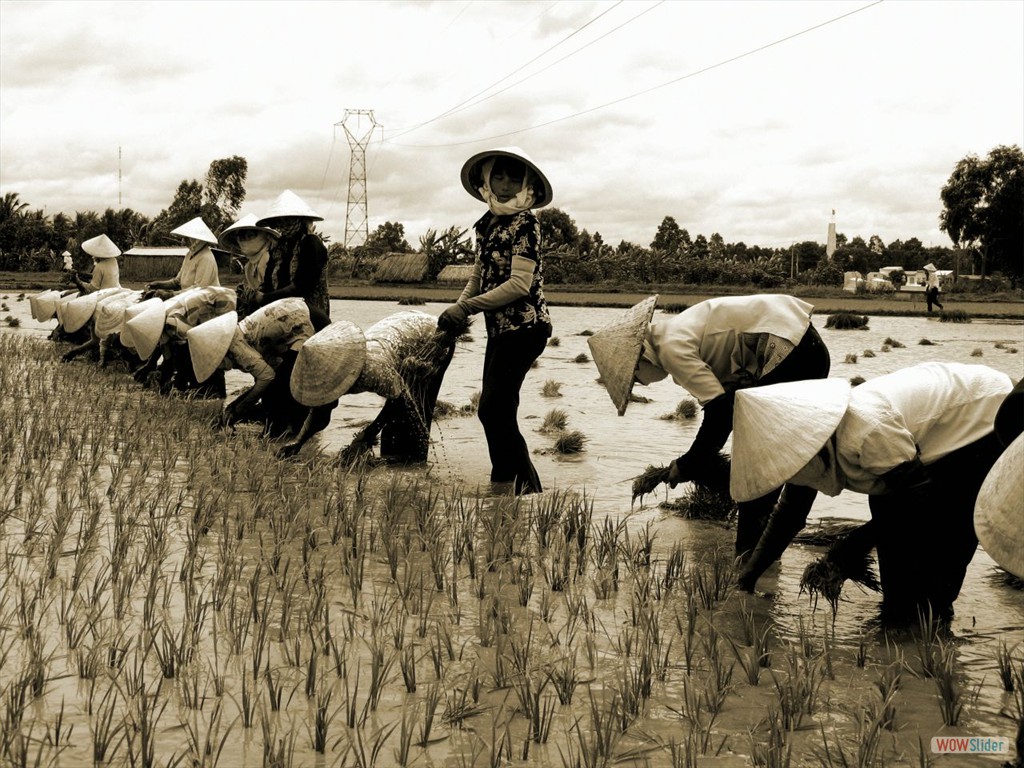 Mekong-Delta - Sie lachen tatschlich