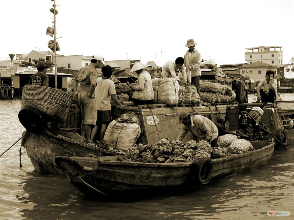 Floating Market in PHUNG HIEP