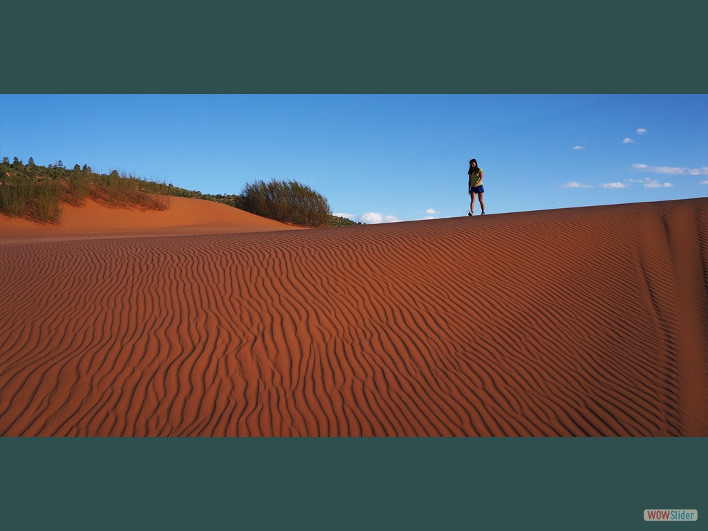 Coral Pink Sand Dunes S.P. (UT)