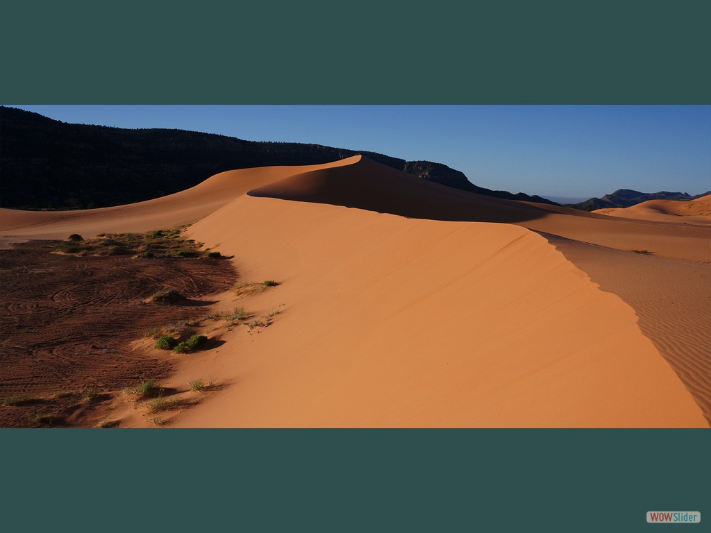 Coral Pink Sand Dunes S.P. (UT)