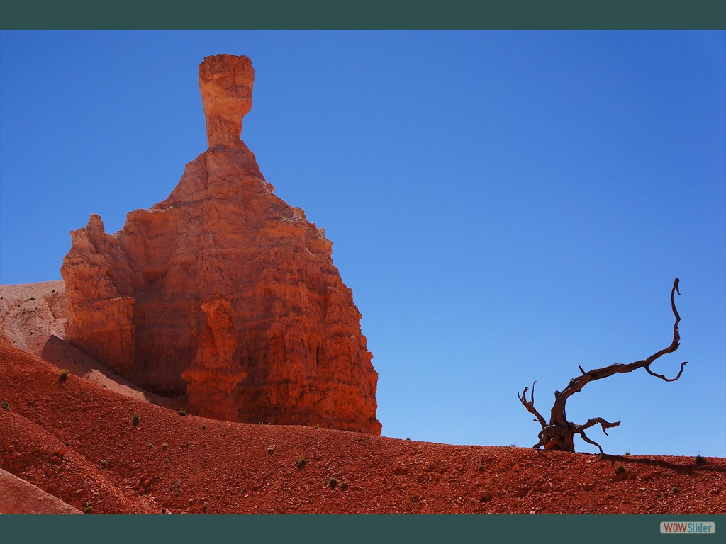 Bryce Canyon N.P (UT)