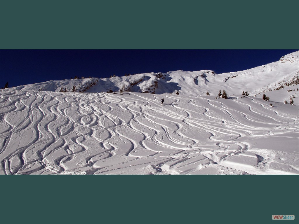 Abfahrt im Champaign Powder  ber den Vorderlahner, leider stellenweise schon zerfahren (Dez. 2010)