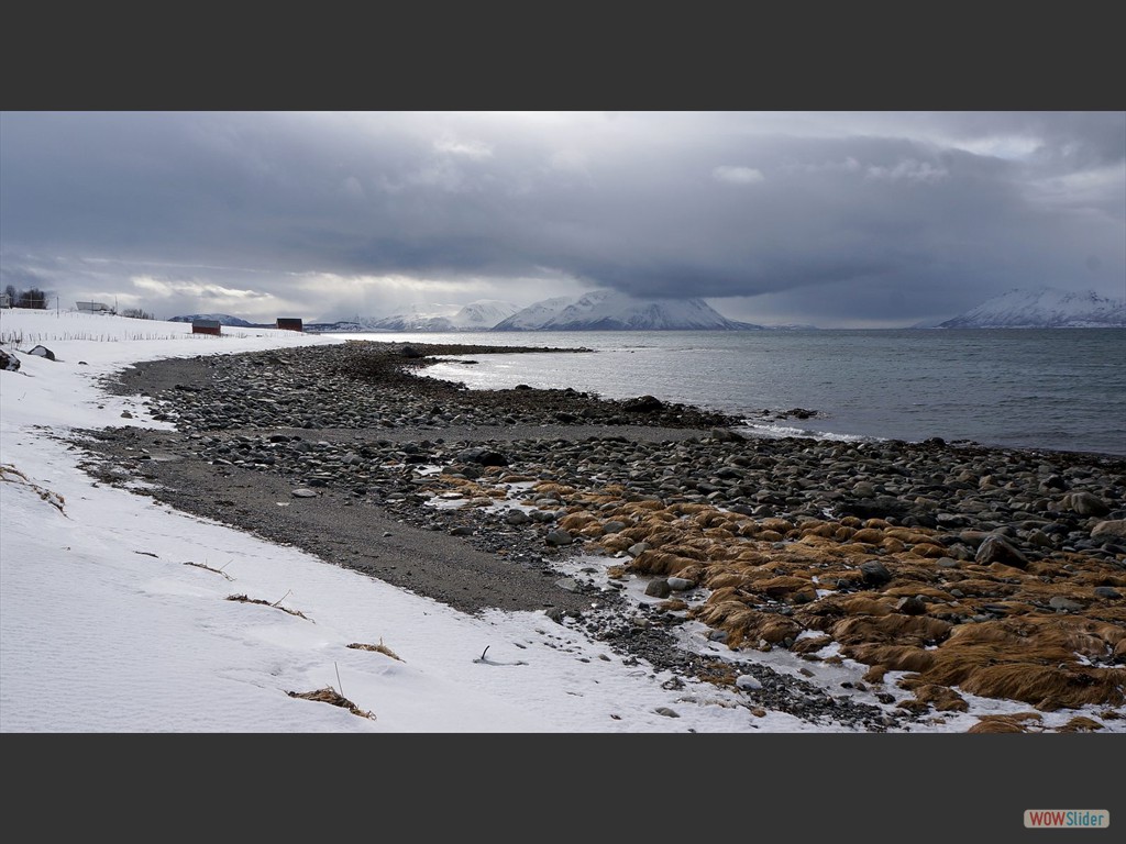 Nachmittags am Ullsfjord vor unserer Htte.