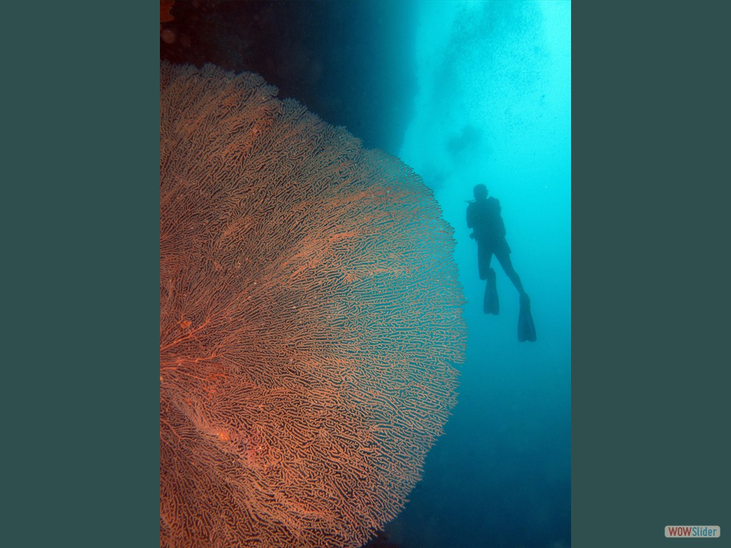 Ostwand Pescador Island