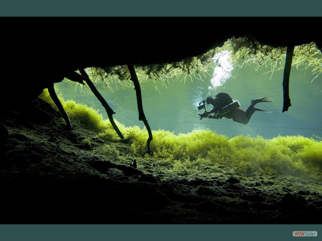 Cenote Naharon