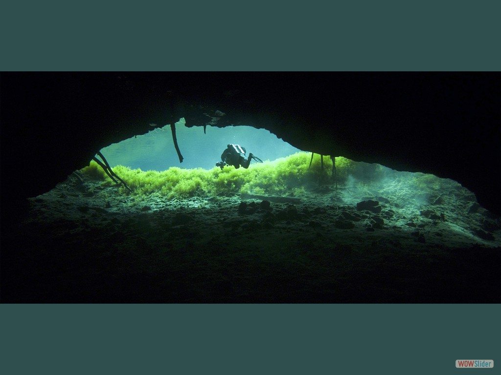 Cenote Naharon